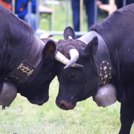 Apartman Aragon Ernen