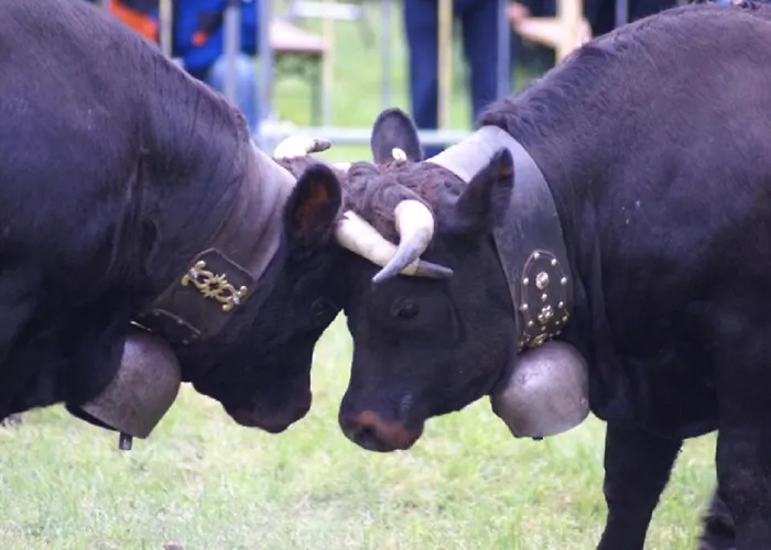 Apartman Aragon Ernen